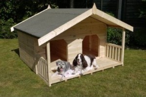 Pet Friendly Home Ideas :: Making Your Home More Pet Proof